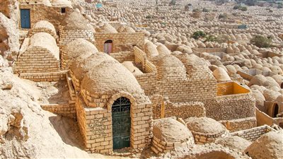 محافظة الإسكندرية تنفي شائعة هدم المقابر وتوضح الإجراءات التنظيمية