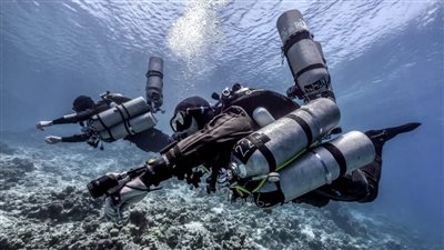 حقيقة إنقاذ القرش بهلول بمنطقة الثقب الأزرق في مدينة دهب