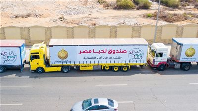 صندوق تحيا مصر يطلق 94 شاحنة لإغاثة أهل غزة