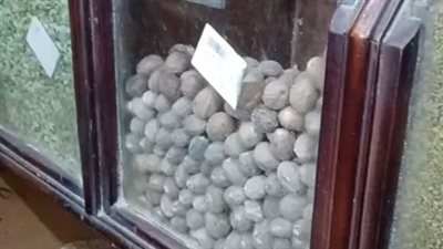 عطار بالبحيرة يحذر ربات البيوت من الغش في التوابل المطحونة ويكشف عن تراجع في الأسعار | بث مباشر 