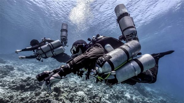 انقاذ قرش الحوت بمنطقة