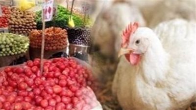  البانيه بـ 230 جنيها للكيلو والخيار بـ 13.. أسعار الدواجن والخضراوات داخل أسواق جنوب سيناء اليوم الأربعاء| بث مباشر 