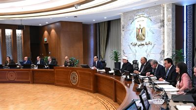 الحكومة: لا توجد مشكلات حاليًا في توفير النقد الأجنبي المطلوب من الجهاز المصرفي