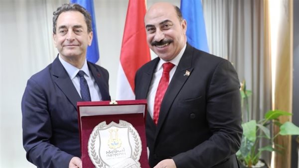 محافظ أسوان