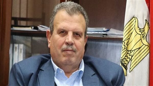 المهندس محمد عامر