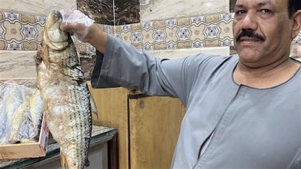 كلب البحر أشهر أسماك