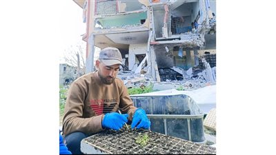 هنزرعها بعون الله.. إسرائيل تستهدف صاحب مبادرة لمواجهة المجاعة في شمال غزة 