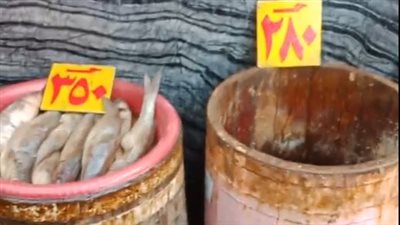 الفسيخ بـ 240 جنيها واللحمة بـ 280.. إقبال على شراء اللحوم والأسماك المملحة بمناسبة عيد الفطر| بث مباشر