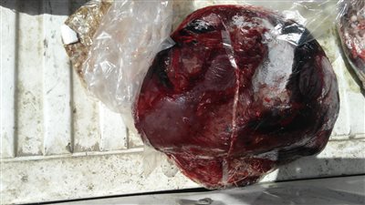 ضبط لحوم غير صالحة للاستهلاك الآدمي في الفيوم 