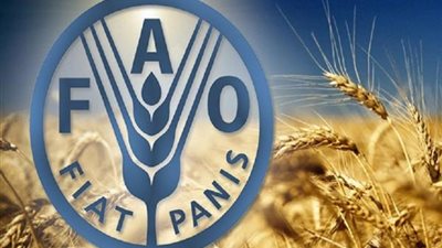 فاو: ارتفاع أسعار الغذاء العالمية في مارس بعد موجة انخفاضات استمرت 7 أشهر
