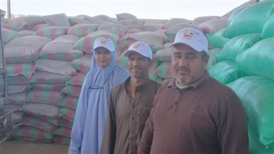 توريد قمح أول مدرسة حقلية تابعة لمنظمة الفاو بطور سيناء