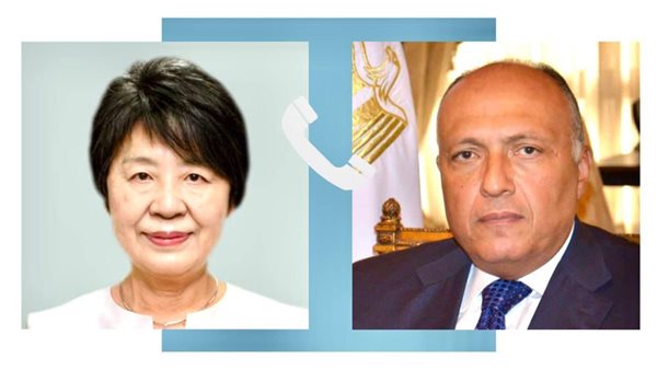 وزيرا خرجية مصر واليابان