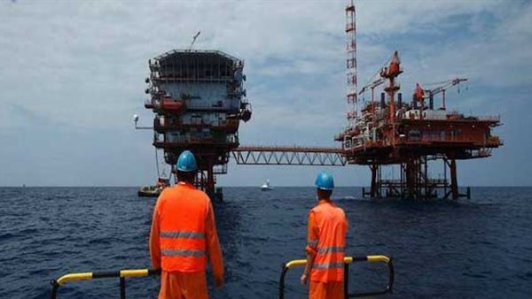 شركة البرلس