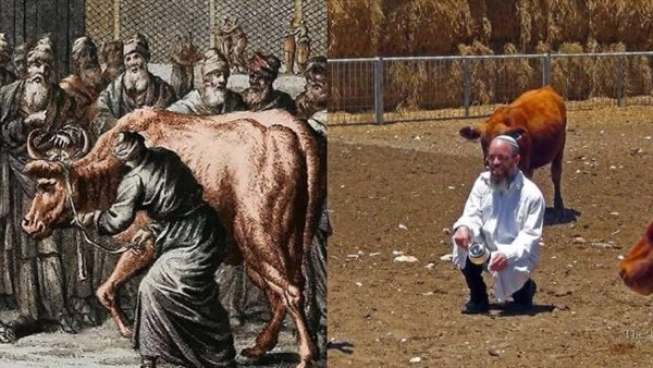  صورة تعبيرية 