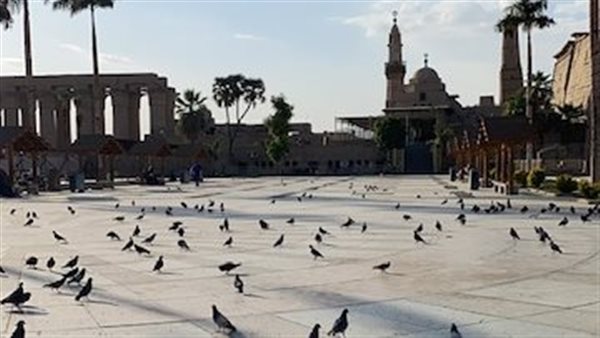 ساحة أبو الحجاج وأسراب