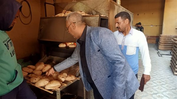 حملة تفتيشية بأسيوط