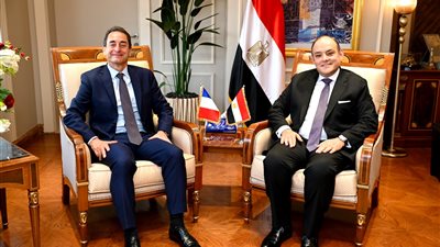 بينها توطين صناعة السيارات.. وزير الصناعة يبحث مع السفير الفرنسي التعاون المشترك