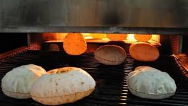 مطاحن ومخابز شمال