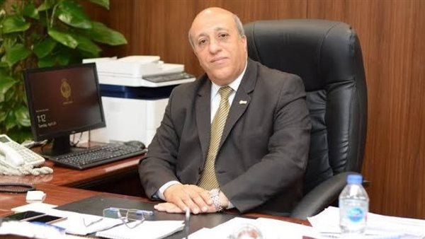 عادل فوزي- رئيس شركة