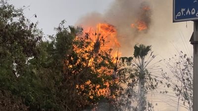 السيطرة على حريق اندلع بمجموعة من الأشجار بشبرا مصر | صور