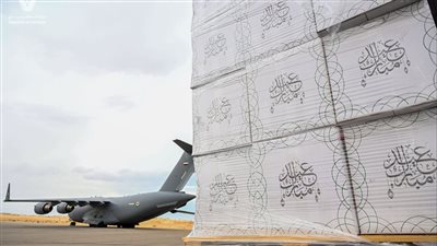 طائرة إماراتية تحمل 4000 طرد كسوة العيد لأبناء غزة تصل مطار العريش