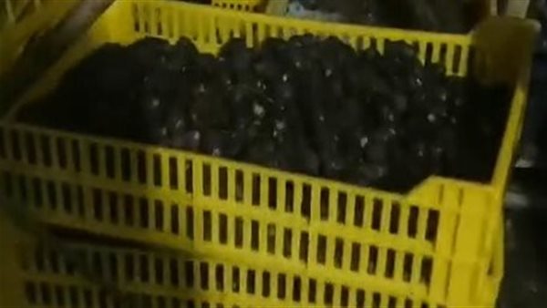 ضبط بلح فاسد بالبحيرة 