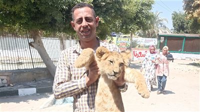 كبر وسموه سيمبا.. شبل القاهرة الجديدة يستقبل زوار حديقة حيوان بني سويف| فيديو وصور 