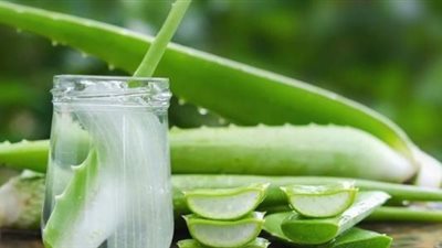 الألوفيرا.. نبات سحري بفوائد مذهلة للبشرة والجسم