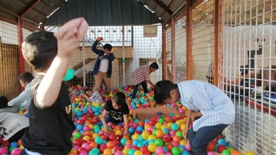 أطفال غزة يقضون العيد في ملاهي المنوفية| صور