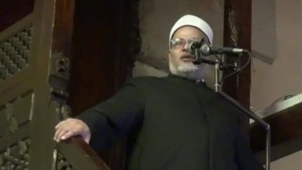 الدكتور إبراهيم الهدهد