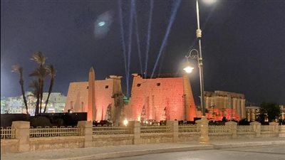 بحضور 2500 شاب وفتاة..الأقصر تحتضن أكبر مسابقة للبرمجيات في العالم 