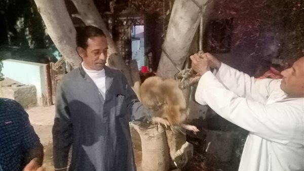 الأهالي بعد القضاء