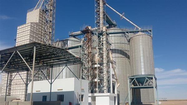 صوامع القمح