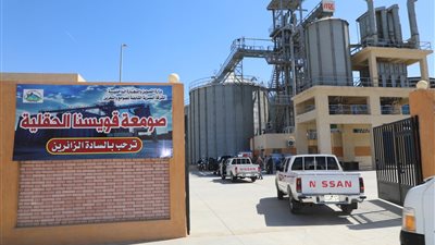  تجهيز 13 صومعة بسعة تخزينية 135 ألف طن استعدادا لتوريد القمح بالمنوفية 