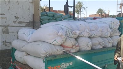 توريد 2375 كيلو قمح محلي ببنكر إسنا بأولى ساعات بداية موسم التوريد