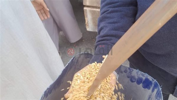 موسم توريد محصول