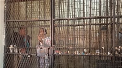 جنايات القاهرة تستكمل محاكمة المتهمين في قضية رشوة الجمارك الكبرى | بث مباشر