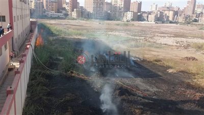 السيطرة على حريق في مخلفات أرض المحلج بالمحلة دون إصابات|صور