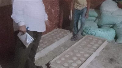 بعد انخفاض سعر الدقيق.. تموين المنيا يضبط 101 مخالفة متنوعة في حملات على المخابز البلدية