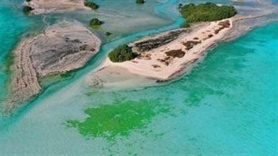 بعد شكوى السعودية بالأمم المتحدة.. معلومات عن محمية جزيرة الياسات سبب الخلاف بين الرياض وأبوظبي 