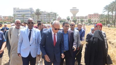 تعرف على أسعار توريد القمح بصوامع القليوبية