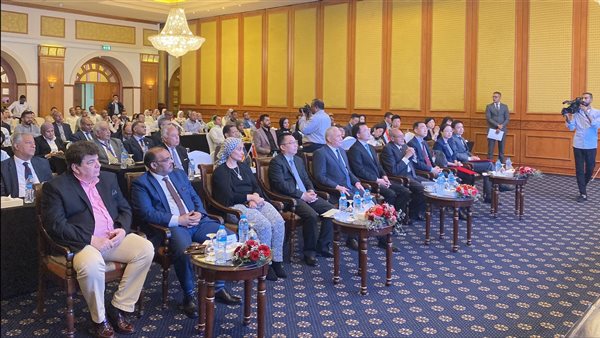 استثمارات صينية على