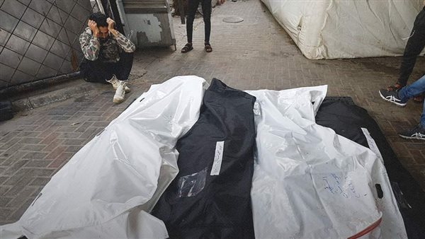 الحرب على غزة 