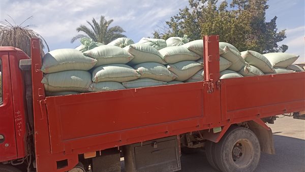 توريد القمح بأسيوط