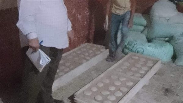 حملات تفتيشية بالمنيا