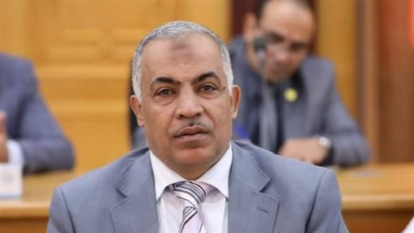 الدكتور رمضان عبد