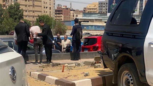 بلطجية غادة والي