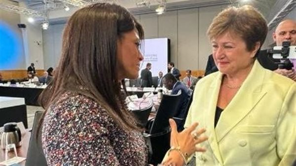 رانيا المشاط 