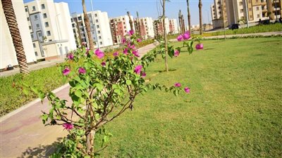 صندوق الإسكان: لا صحة لطرح وحدات بنظام الإيجار التمليكي.. والإعلانات المنتشرة مزيفة ووهمية