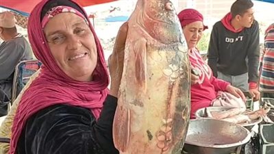 السمكة المبروكة تغزو أسواق كفر الشيخ.. وتاجرة: الكيلو بـ 60 جنيه وبتكفي عيلة | بث مباشر 
